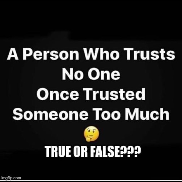 Meet your Posher, Toya - Picture 1 of 1